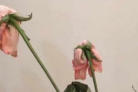 2022悲伤网名女生孤单霸气大全 假笑拌从容