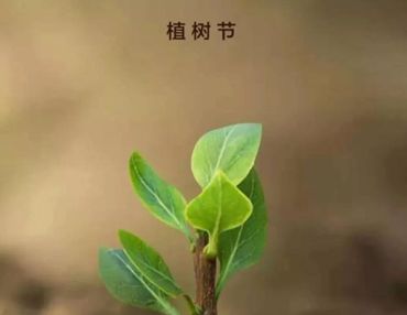 植树节发朋友圈的正能量说说 2022植树节正能量语