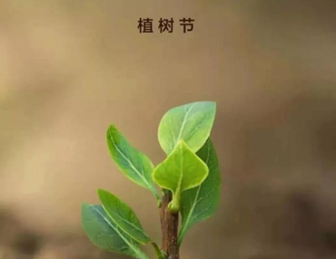 2022植树节正能量语录 植树节发朋友圈的正能量说