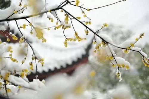 适合天气冷入冬发朋友圈的文案(精选26句)
