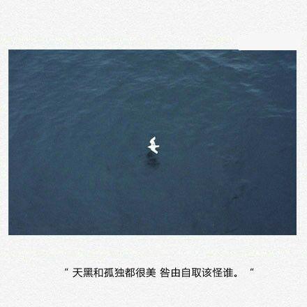 失恋放弃爱情的伤感昵称大全(精选53句)