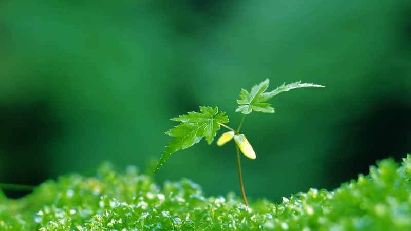 和朋友喝奶茶发朋友圈的说说(精选32句)