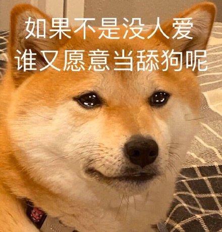 舔狗日记 超火有趣的舔狗文案(精选69句)