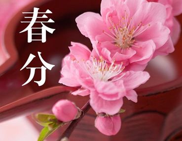 精选春分节气的优美句子 春分节气精美心情说说(精选21句)