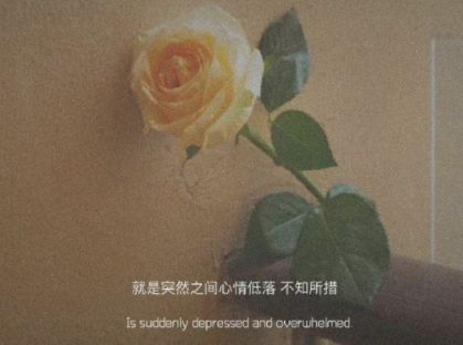 带有悲凉伤感诗意的网名 伤感又暗含深意的网名(精选28句)