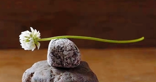睡觉前晚安祝福语平安夜 晚上好的问候语简短温(精选45句)