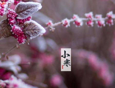 2021小寒节气的好听祝福语 小寒节气的温馨祝福语