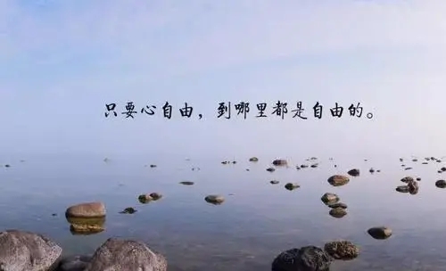 转眼又是一年唯美句子 一年到头的感慨句子(精选13句)