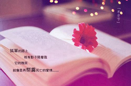 我想放弃我自己的句子 我累了我想放手的句子(精选60句)