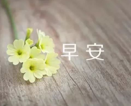 十一月早安心情说说大全 十一月早安唯美文案句(精选21句)