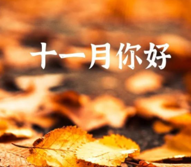 十一月请对我好点的心情语录 2021十一月你好经典