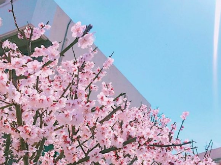 简洁的微博网名女生带小清新风格 夏天碎花小短(精选49句)