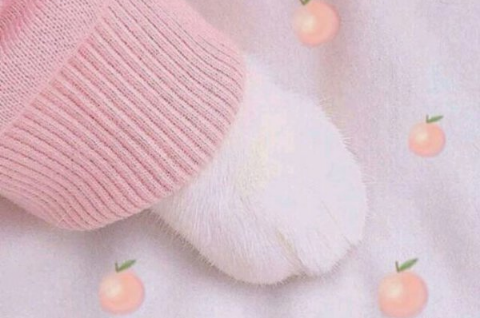 2022女生游戏网名可爱萌二次元 适合女生的游戏名