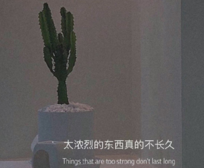 心情失落的时候鼓励自己的话 安慰鼓励自己的朋(精选23句)