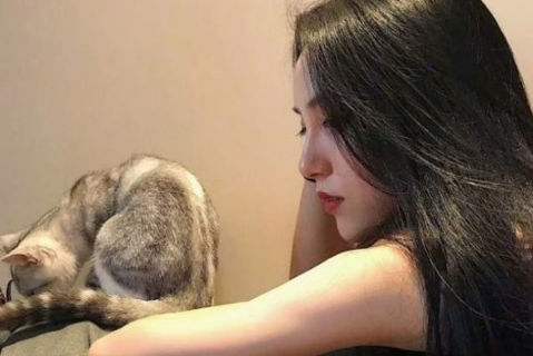简单的微博网名女生文艺范2022最新 起司奶香猫