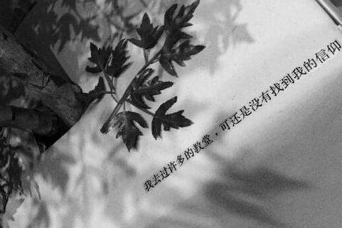 最经典好听的qq个性网名女生 静已思之愈浓(精选38句)