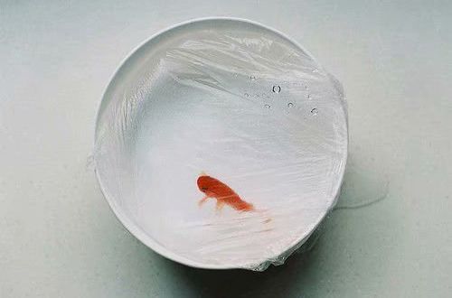  微信朋友圈经典语录 “非是局中人，莫论是与非(精选18句)