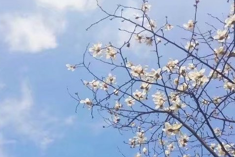 2022有内涵的简短网名女生 两个字或三个字的网名