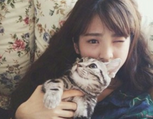 女生好看的网名带符号小清新 猫鱼之争赢你一笑(精选66句)
