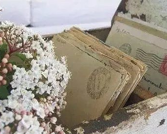 2022最新文艺范的小清新女生网名 岛是没有潮的心