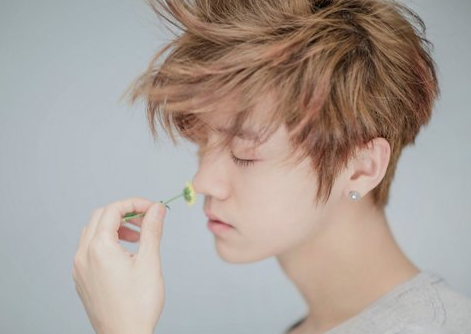 鹿晗网名女生萌萌哒的 有一种呆萌叫鹿晗(精选38句)