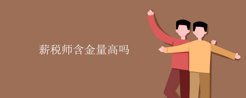 薪税师含金量高吗