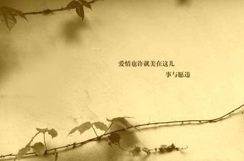 往后余生的伤感句子 情已断缘已尽伤感句子(精选11句)