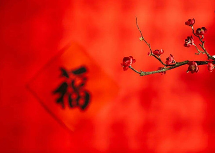 2022新年祝福语 2022年虎年春节祝福语
