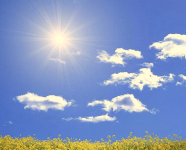 天气晴朗阳光明媚的心情说说 天气晴朗正能量的(精选21句)