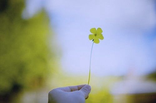 七夕搞笑的句子 不过七夕的句子(精选15句)