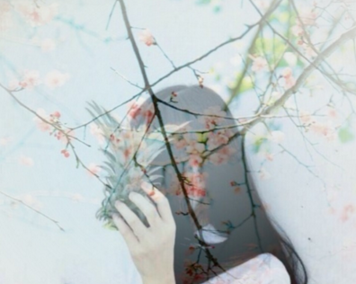比较文艺女生好听的伤感网名大全 繁华的世界没(精选51句)