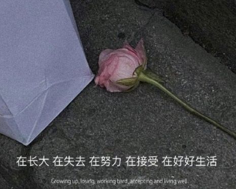 2022全新很揪心的伤感语录 让人红眼鼻酸的伤感说