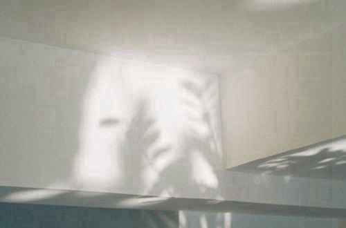 关于人不如狗的经典语录 人不如狗的经典句子带(精选21句)