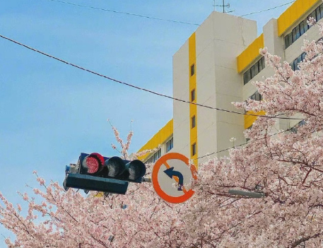 天气渐渐变暖和了心情说说 春天天气渐渐暖和的(精选22句)