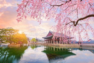 2021春天到来的幽默有趣朋友圈文案 春季幽默有创