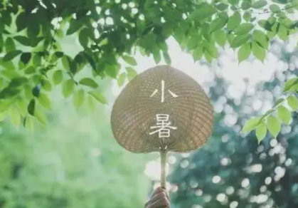 小暑短信祝福语简单好听 2022小暑简短的防暑祝福