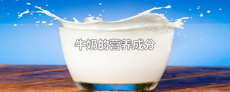 牛奶的营养成分 牛奶的营养成分