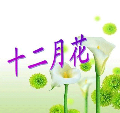 2022十二月发朋友圈的文艺温柔句子 十二月最温暖