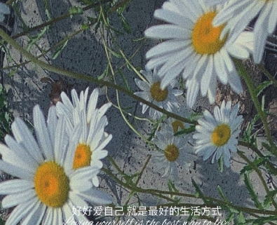 让人一眼就心动的朋友圈必备文案 醒来觉得甚是(精选17句)