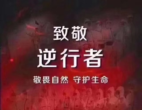 赞美较美逆行句子 对英雄敬佩的赞美句子(精选18句)