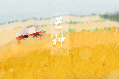 2022芒种节气朋友圈文案 芒种到了心情说说经典句