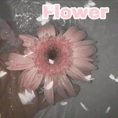 每日一句正能量励志 新的一天正能量句子(精选21句)