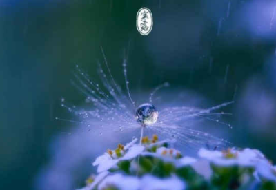 寒露节气朋友圈心情说说 2022寒露说说祝福语大全