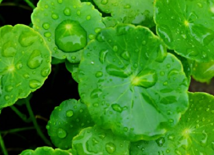 下雨天唯美心情说说 原来天气和我一样不开心(精选17句)