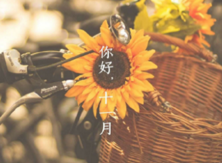 十月再见十一月你好的心情说说大全 2022迎接十一