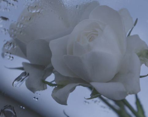 彻底心冷的伤感个性签名 心里哇凉哇凉的伤感语(精选44句)