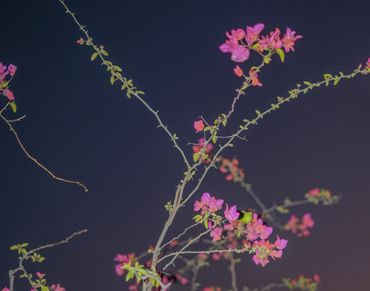 感受不到对方爱意的文案 感觉不到对方的在乎自(精选21句)