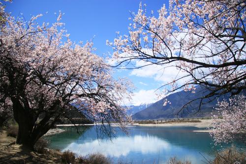 治愈系短句温暖文字 治愈系简短句子(精选21句)