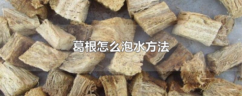 葛根怎么泡水方法 葛根怎么泡水方法