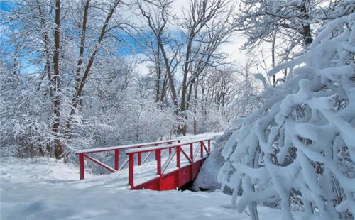 下雪了的说说心情短语2022图片 下雪说说带图片简